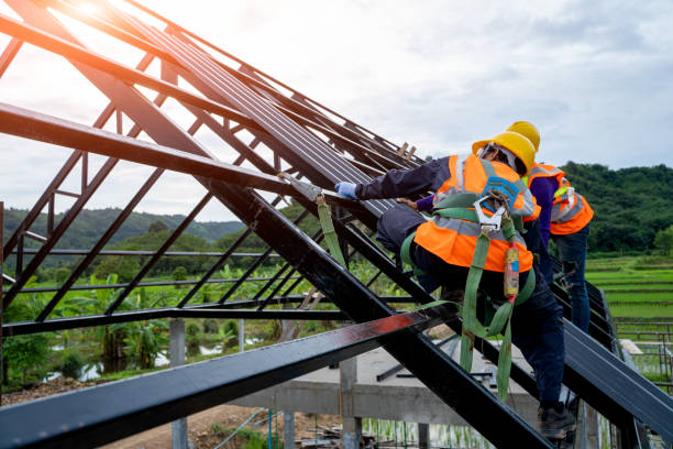 Roof Gutter Cleaning in Gretna, VA