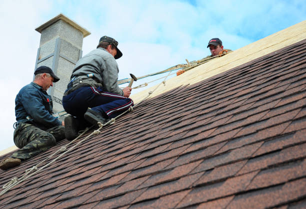 Best Roof Gutter Cleaning  in Gretna, VA